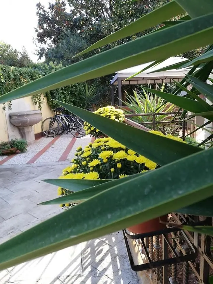 Villa Antonella Rooms Mondello Palermo Bed & Breakfast